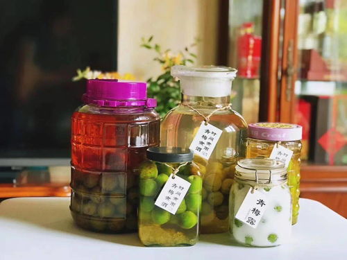 梅子青青酒已溫，本草視角下的青梅與杯中醇醪
